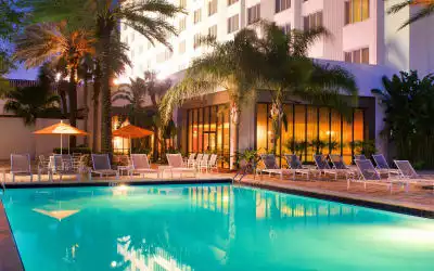 Hotel Hilton St. Petersburg in St Petersburg