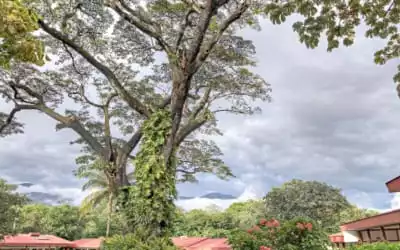 Hotel Hacienda Guachipelin mit 94 % Empfehlungsrate Hotel Hacienda Guachipelin in Rincon de la Vieja