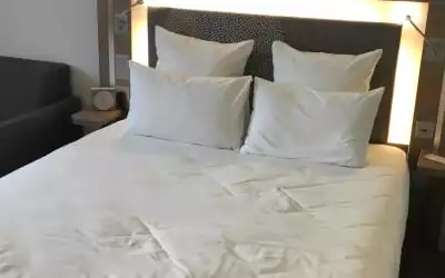 Novotel Lugano Paradiso in Paradiso