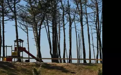 Hotel Axis Ofir Beach Resort in Fao