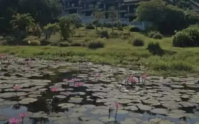 La Résidence Phou Vao mit 100 % Empfehlungsrate La Résidence Phou Vao in Luang Prabang