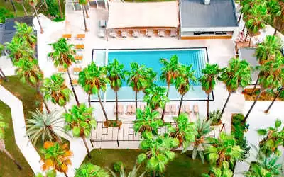 Orfeus Armin in Colakli