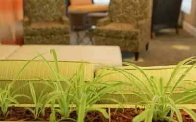 Hotel Hilton Garden Inn St. Augustine Beach in St Augustine Beach