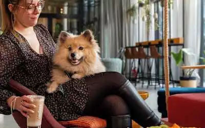 Moxy Paris Val d'Europe in Montevrain