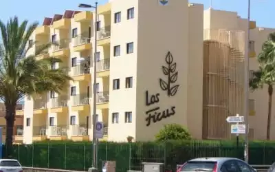 Hotel Los Ficus mit 99 % Empfehlungsrate Hotel Los Ficus in Playa del Ingles