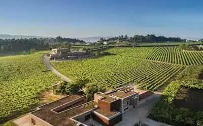 Monverde - Wine Experience Hotel - by Unlock Hotels in Borba de Godim