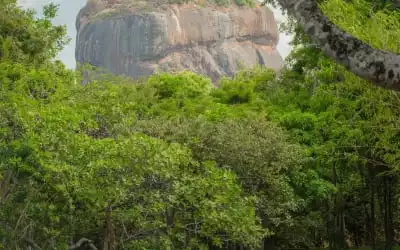Sigiriya Village in Sigiriya