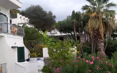 Hotel Citara in Forio Ischia [Ischia]