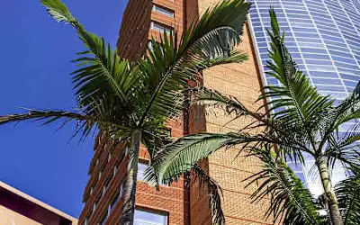 Mercure Hotel Sao Paulo Jardins mit 100 % Empfehlungsrate Mercure Hotel Sao Paulo Jardins in Sao Paulo