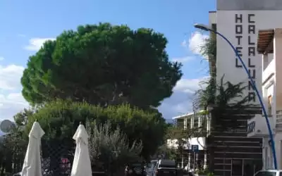 Hotel Cala Luna mit 100 % Empfehlungsrate Hotel Cala Luna in Cala Gonone