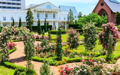 Sheraton Grande Tokyo Bay Hotel mit 100 % Empfehlungsrate Sheraton Grande Tokyo Bay Hotel in Urayasu