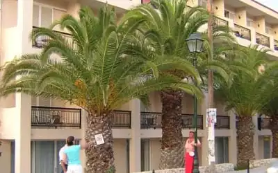 Hotel Zakantha Beach in Argassi