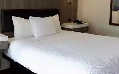 Hotel Kings Inn mit 85 % Empfehlungsrate Hotel Kings Inn in Seattle