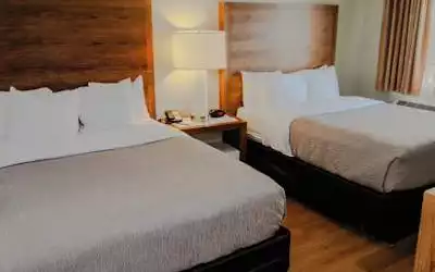 Quality Inn & Suites By The Parks in Celebration