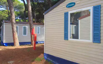 Pineta Sul Mare Camping Village in Cervia