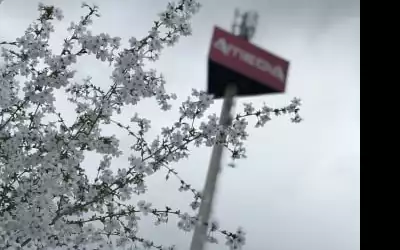 AMEDIA Express Sattledt in Sattledt