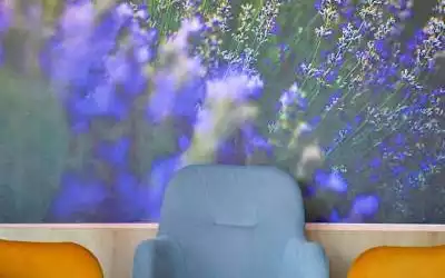 Hotel BinderBubi Medias in Mediaş