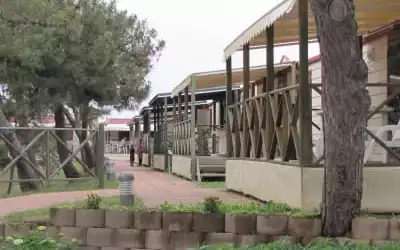 Villaggio Turistico Rosapineta Sud mit 97 % Empfehlungsrate Villaggio Turistico Rosapineta Sud in Rosolina