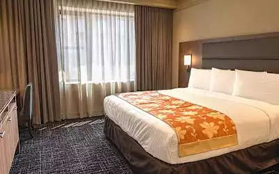 Opera House Hotel in New York - Bronx