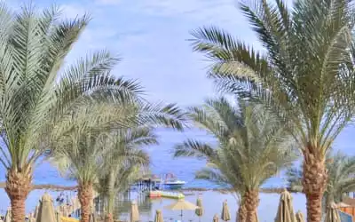 Hotel Xperience Sea Breeze Resort in Shark Bay