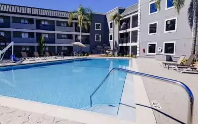 Hotel La Quinta Inn Tampa-Near Busch Gardens‎ in Tampa