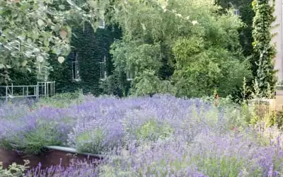 Boutiquehotel Stadthalle in Wien