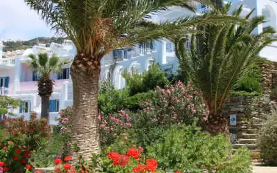 Hotel Aneroussa Beach in Batsi