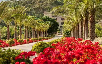 Hotel Castell Son Claret mit 100 % Empfehlungsrate Hotel Castell Son Claret in Calvia